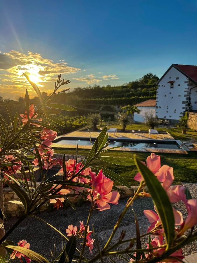 Skerlj Wine Estate Guest House Tomaj Bagian luar foto